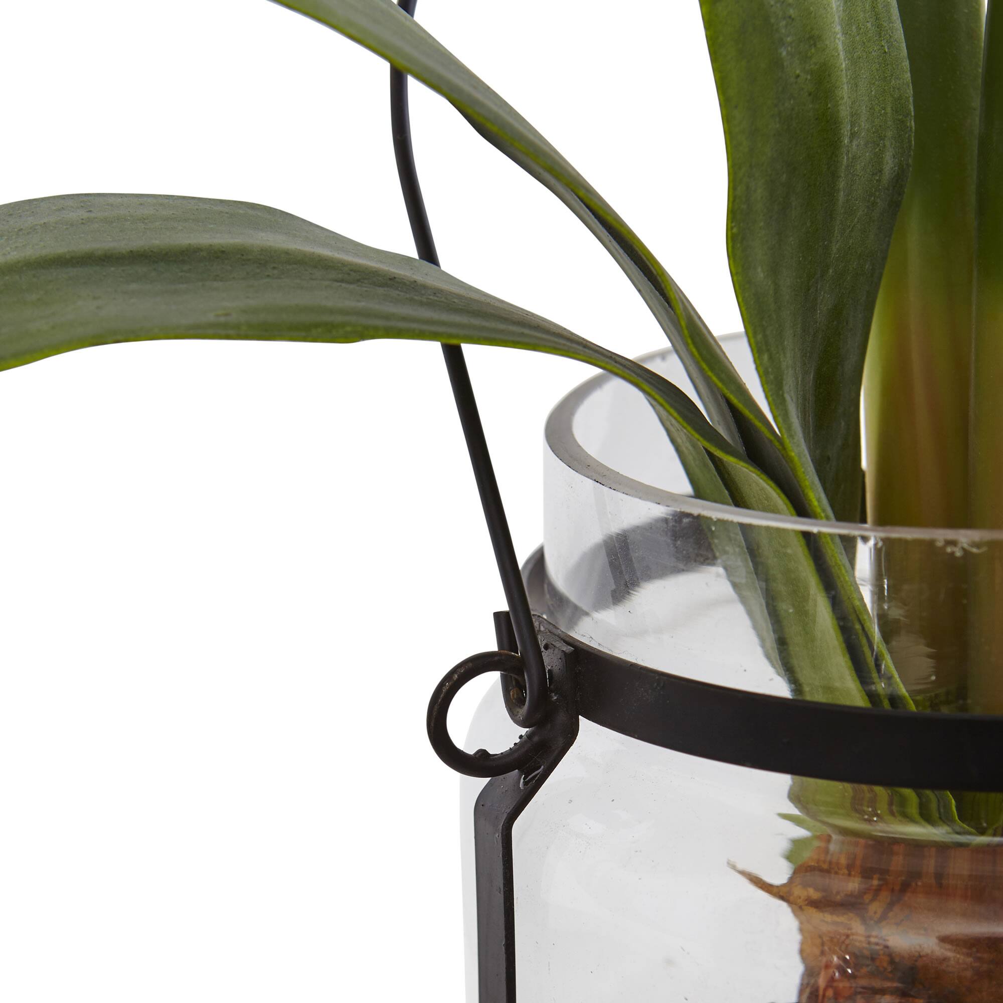 24" Red Amaryllis in Glass Vase